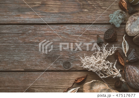 Dried plants and roots. Copy space for text. 47517677