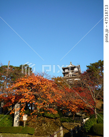 丸岡城　100名城 47518713
