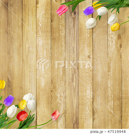 背景 花 壁 板 木目 茶 チューリップ 春のイラスト素材