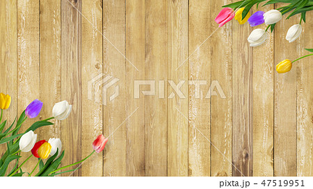 背景 花 壁 板 木目 茶 チューリップ 春のイラスト素材
