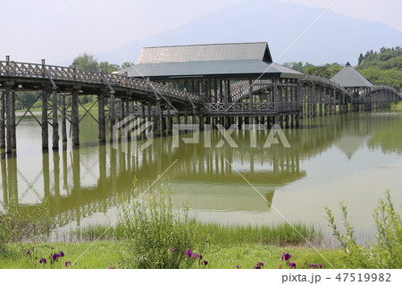 鶴の舞橋 47519982