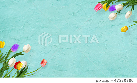 背景 花 壁 春 ブルー チューリップのイラスト素材 背景 花 壁 春 ブルー チューリップのイラスト素材