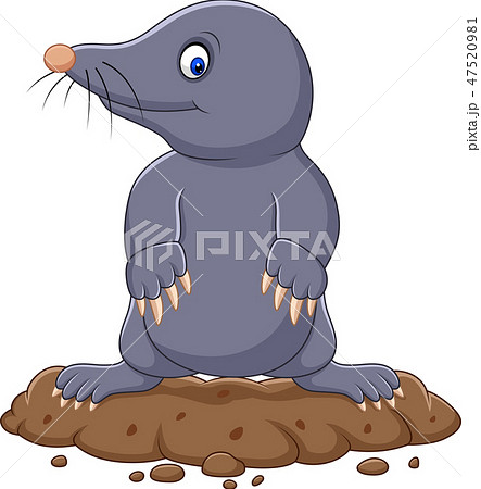 mole animal cartoon