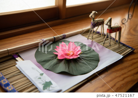 お盆飾りイメージ 精霊馬 蓮の花の写真素材