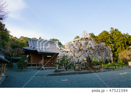 [愛知県]　野依八幡社 47522394