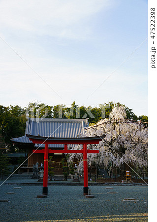 [愛知県]　野依八幡社 47522398
