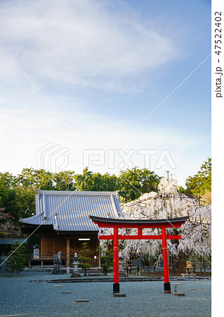 [愛知県]　野依八幡社 47522402