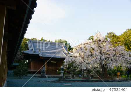 [愛知県]　野依八幡社 47522404