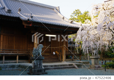 [愛知県]　野依八幡社 47522406