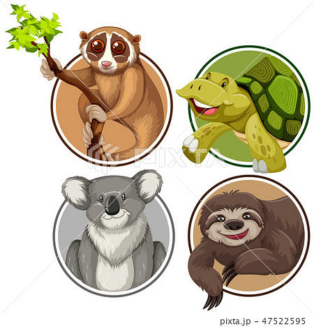 Set of exotic animals in circle banner Set of exotic animals in circle banner 47522595
