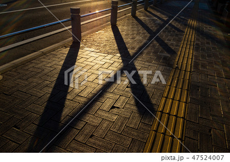 夕刻のレンガ舗装の歩道 点字ブロックと照り返しと伸びる影 Aの写真素材