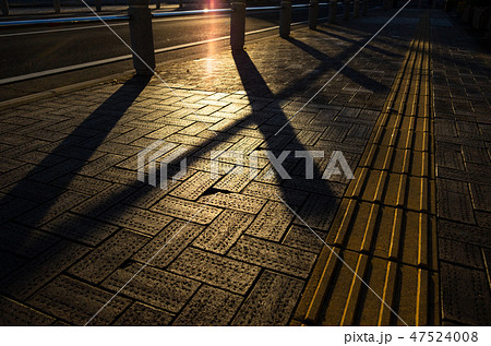 夕刻のレンガ舗装の歩道 点字ブロックと照り返しと伸びる影 Bの写真素材