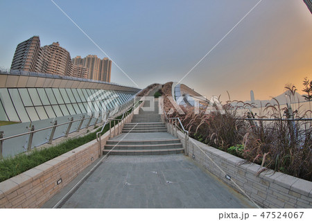 a roof garden of west Kowloon station 47524067