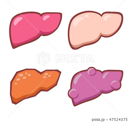 肝臓セット 顔なし 肝臓セット 顔なし 47524375