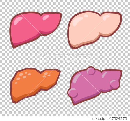 肝臓セット 顔なし 肝臓セット 顔なし 47524375