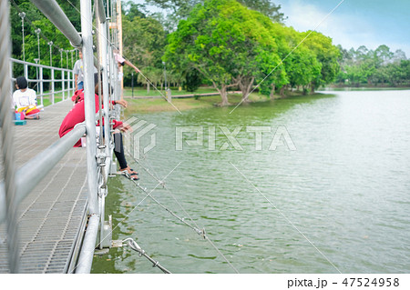 People enjoy feeding fish on suspension bridge People enjoy feeding fish on suspension bridge 47524958