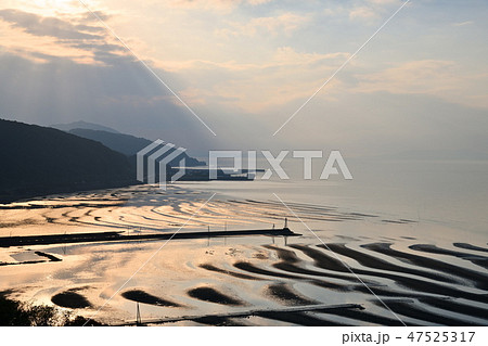 御輿来海岸 干潮と日の入り 47525317