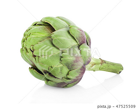 artichoke isolated on white background 47525509