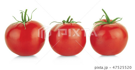 tomatoes isolated on the white background tomatoes isolated on the white background 47525520
