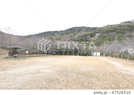 神戸市須磨区高倉台 桜の広場 神戸市須磨区高倉台 桜の広場 47526410