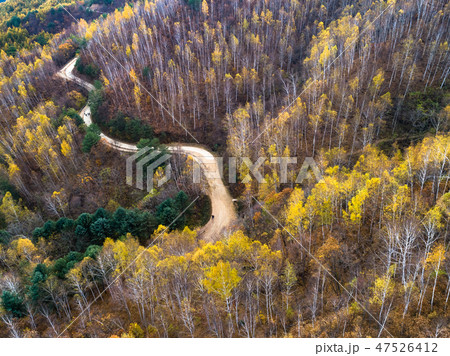 旅行 風景 韓国 47526412
