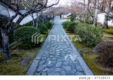 冬の京都の一休寺 47528423