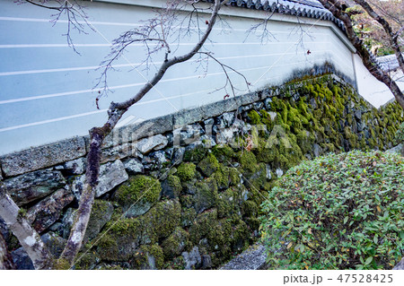 冬の京都の一休寺 47528425