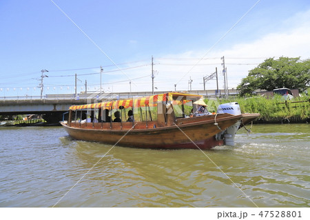 水郷潮来あやめ園　茨城県潮来市  47528801