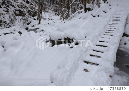 御船の滝 氷瀑 御船の滝 氷瀑 47528839