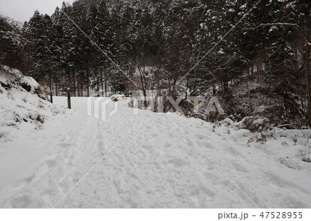 御船の滝 氷瀑 御船の滝 氷瀑 47528955
