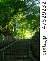 西山興隆寺 愛媛県 47529232