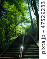 西山興隆寺 愛媛県 47529233