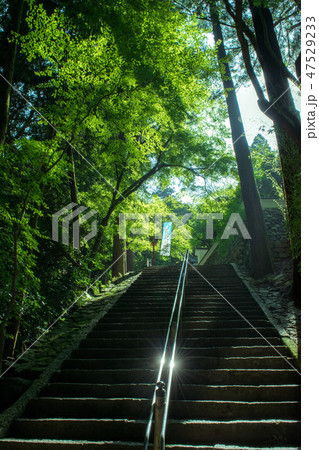 西山興隆寺 愛媛県 西山興隆寺 愛媛県 47529233