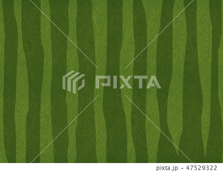 フェルト　スイカ　コラージュ 47529322