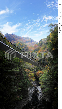 奈良県-天川村-みたらい渓谷-秋 47529591