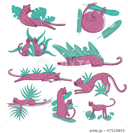 Vector set of hand drawn pink leopards and green tropical leaves. Large cats with spotted bodies Vector set of hand drawn pink leopards and green tropical leaves. Large cats with spotted bodies 47529855