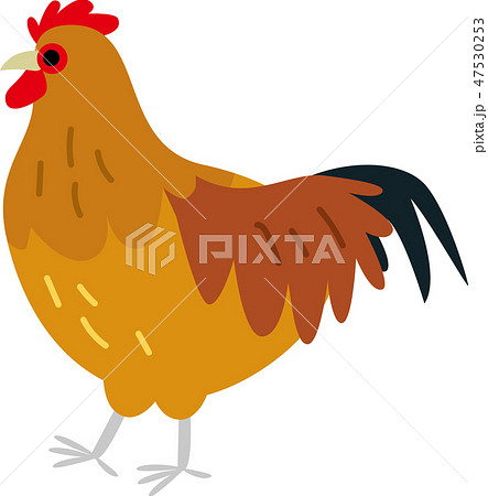 最高の動物画像 新着地鶏 イラスト