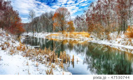 Scenic view of the river and trees in winter Scenic view of the river and trees in winter 47530744
