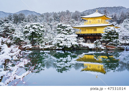 京都 雪の金閣寺 の写真素材