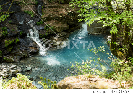 初夏のスッカン沢 初夏のスッカン沢 47531353