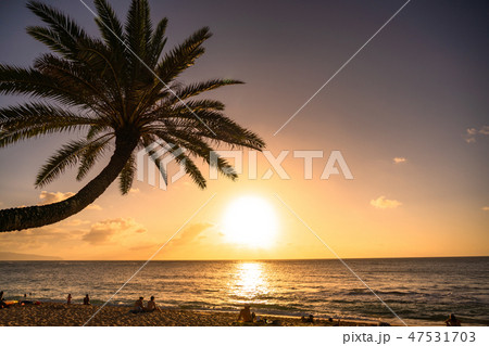 《ハワイ》オアフ島・サンセットビーチの夕暮れ 《ハワイ》オアフ島・サンセットビーチの夕暮れ 47531703