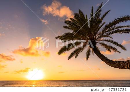 《ハワイ》オアフ島・サンセットビーチの夕暮れ 《ハワイ》オアフ島・サンセットビーチの夕暮れ 47531721