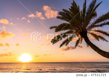 《ハワイ》オアフ島・サンセットビーチの夕暮れ 《ハワイ》オアフ島・サンセットビーチの夕暮れ 47531725