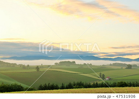 北海道　朝焼けに染まる美瑛の風景 47531936