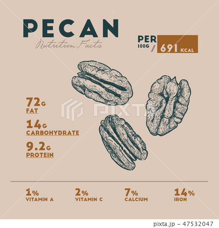 Nutririon fact of pecan sketch hand drawing. 47532047