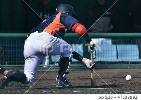 バントを試みる打者 バントを試みる打者 47533992