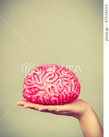 Woman hand holding brain 47534153