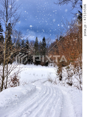 Winter landscape. Country road through forest 47534506