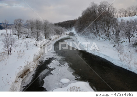 冬の北海道厚沢部町厚沢部川の支流で蓮の葉氷が流れている風景を撮影 47534965