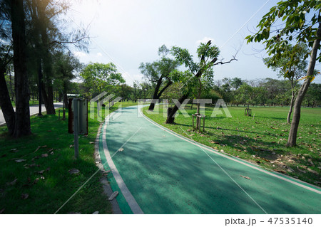 Bicycle lane in a public park Bicycle lane in a public park 47535140